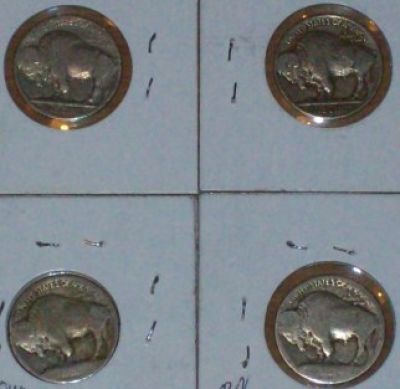 Are-These-1913-Buffalo-Nickels?